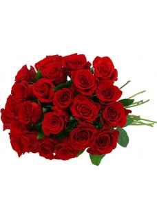 24 Premium Red Roses