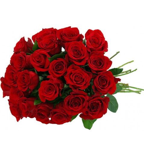 24 Premium Red Roses