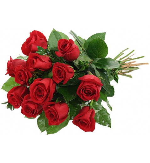 Just Roses Just Roses